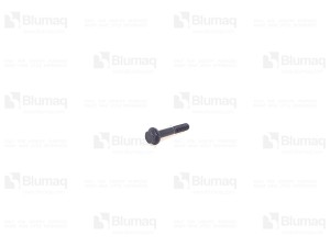 01435-01060-BQ БОЛТ 0143501060BQ BLUMAQ