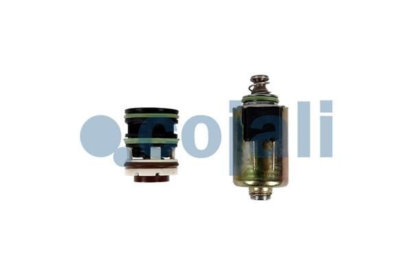 Магнитный клапан 6012331 COJALI