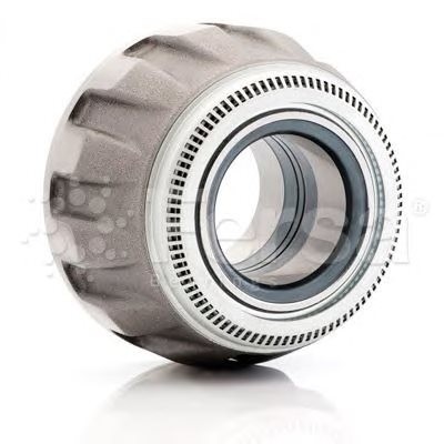 Ступица SK RB 9022,9019 (в сборе с подшипниками с 12 болтами) F300001 FERSA