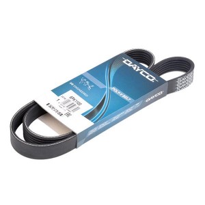 AUDI 100/VW GOLF III 6PK1100 DAYCO