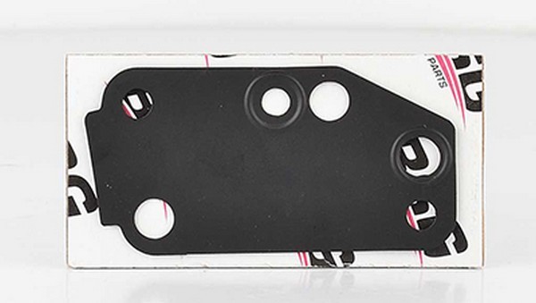 Прокладка FORD Transit (V184) (01-) (2.4D) насоса водяного BSG BSG30116020 BSG