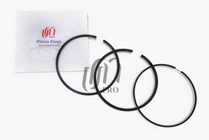 Кольца поршневые 0.25 Citroen/Peugeot 2.2 HDi P22DTE d86.0 +0.25 2.0-2.0-2.0 на  PR1051025 UNITED MOTORS PRO
