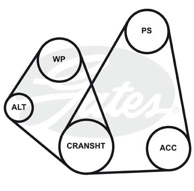 Поликлиновой ремень 5PK1063 (8653-10187) 5-PK-1063 GATES