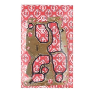 прокладка корпуса масляного фильтра!\ BMW M47M/M47M2 All 549.303 ELRING