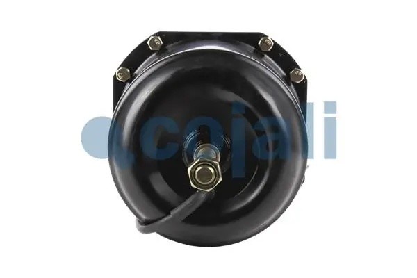 Энергоаккумулятор (кулачковый тормоз) TYPE20/24 аналог Wabco 9253201590 2251400 COJALI