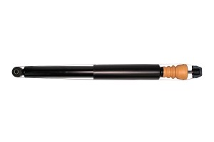 Амортизатор задний, GAS F22GR0005 F22GR0005 CWORKS