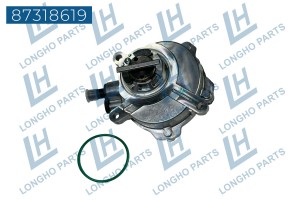 Насос вакуумный BMW 5 (E60),7 (E65),X5 (E53,E70) LONGHO 87318619 LONGHO PARTS