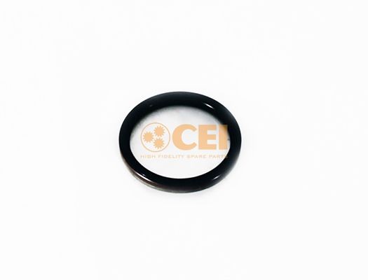 DAF /IVECO/RENAULT 105X125X12/9,5 139.633 CEI