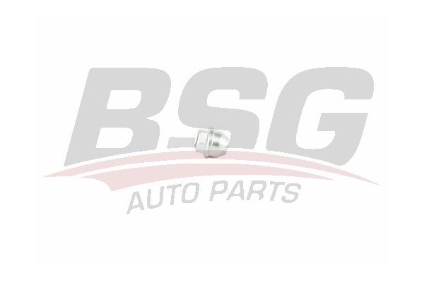 Гайка колеса FORD Transit (12-) BSG BSG30230050 BSG