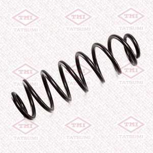 Пружина задняя TAE1036 TAE1036 TATSUMI