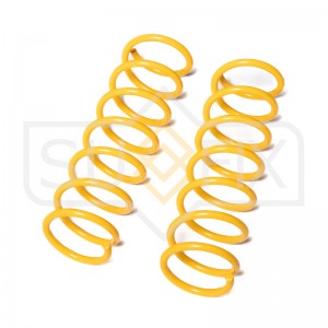 Пружины подвески задние FORD Focus II 04 SZ-2859 SZ-2859 SUFIX