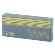 WY5W 12V-5W W2.1x9.5d GIP06033 GANZ
