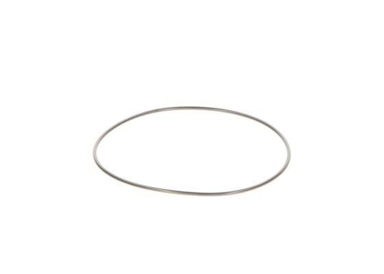 Кольцо уплотнительное RENAULT ТНВД BOSCH 2440210044 BOSCH