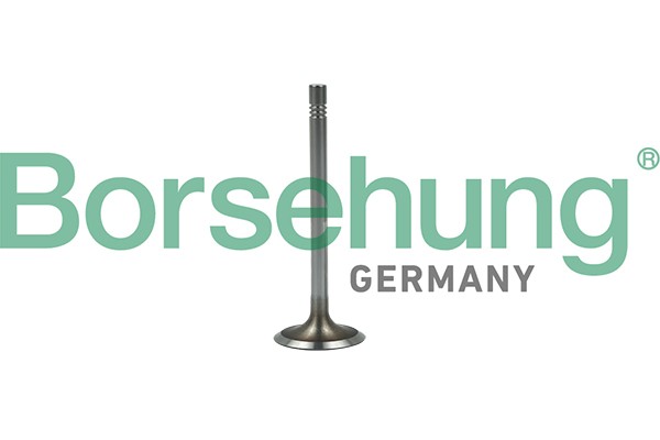 Клапан впускной SKODA Octavia,Yeti (10-) (1.2TSI) двигателя BORSEHUNG B19022 BORSEHUNG