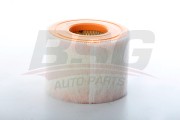 Фильтр воздушный AUDI A6,A7 (10-) BSG BSG90-135-030 BSG