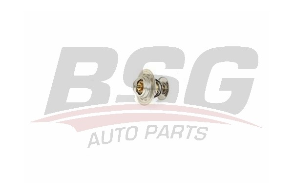 Термостат VW Golf (03-) AUDI A3,A4 (00-) SKODA Octavia (00-) (1.9/2.0 TDI) BSG BSG 90-125-003 BSG