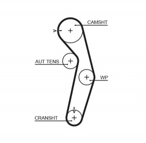 Ремень зубчатый 5445XS 111 x 29 (8597-15445) 5445XS GATES