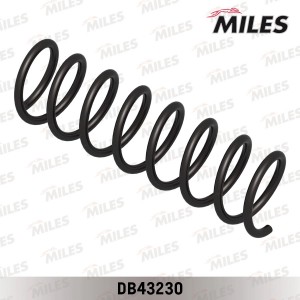 Пружина задней подвески FORD FOCUS III (LESJOFORS 4227620) DB43230 DB43230 MILES
