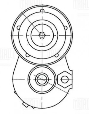 Ролик привод. ремня для а/м Renault Duster (10-) 2.0i (с натяж. мех.) 65x30 (CM  CM 5113 TRIALLI