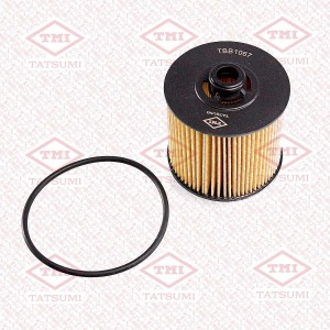 GEELY COOLRAY (2020>) TBB1067 TATSUMI
