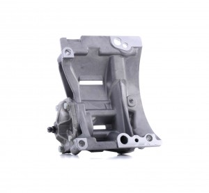 Насос масляный 7.29246.01.0 PIERBURG