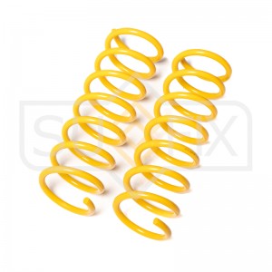 Пружины подвески задние FORD C-Max I 03 SZ-2858 SZ-2858 SUFIX