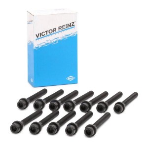 AUDI / VW / VOLVO 12 шт 14-32047-02 VICTOR REINZ