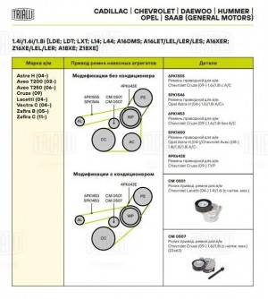 CHEVROLET AVEO CM 0507 TRIALLI