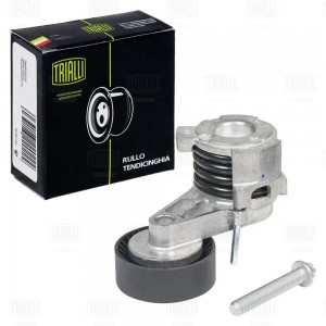 Ролик привод. ремня BMW 5 E60 (03-) 2.5i/3.0i [N52;53] (с натяж. мех.) (6PK) (CM CM5400 TRIALLI