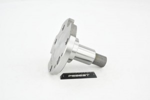 Цапфа задняя 2382A-POLR 2382A-POLR FEBEST