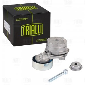 Ролик привод. ремня VW Touareg III (18-) 3.0d [EA897] (-2019) (с натяж. мех.) (C CM5791 TRIALLI