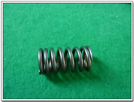 Пружина SSANGYONG Actyon (12-) (G20D) клапана двигателя OE 1720530020 SSANG YONG