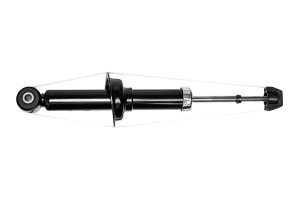 Амортизатор задний, GAS F22GR0011 F22GR0011 CWORKS