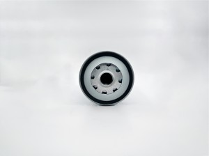 DAF 95 XF (1997-2002) со стаканом сепаратора GB-6245 BIG FILTER