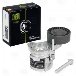 Ролик привод. ремня BMW 5 E60 (03-) 2.5i/3.0i [N52;53] (с натяж. мех.) (6PK) (CM CM5400 TRIALLI