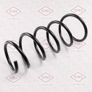 Пружина задняя RENAULT Duster AWD 10- TAE1030 TAE1030 TATSUMI
