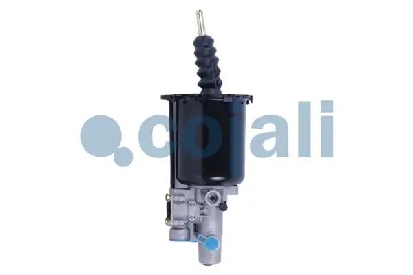 ПГУ MAN TGA COJALI 2250249 COJALI