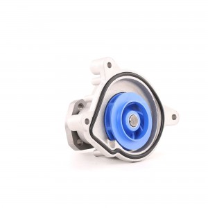 Насос охлаждающей жидкости VKPC81307 SKF