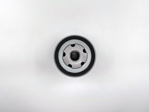 SEAT / SKODA / VW GB-1043 BIG FILTER