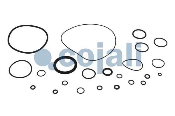 Ремкомплект RENAULT IVECO MAN осушителя воздуха COJALI 6014147 COJALI