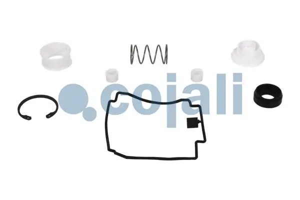 Р/к модуля ebs-1 6014037 COJALI