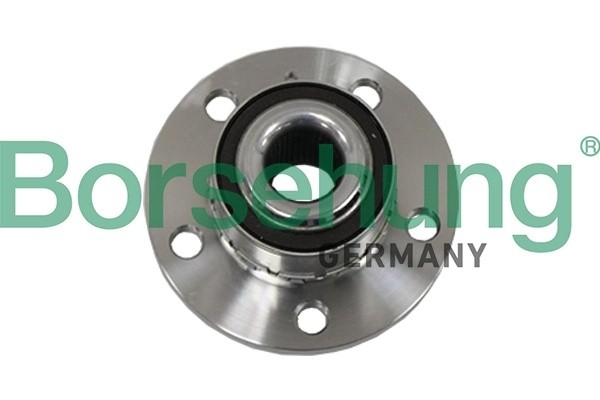 Ступица VW Polo (02-) передняя с подшипником BORSEHUNG B19117 BORSEHUNG