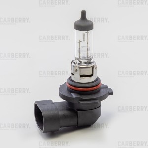 Лампа H10 12V (42W) Day&Night H10 12V (42W) PY20d 31CA4 31CA4 CARBERRY