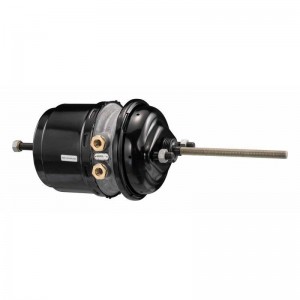 энергоаккумулятор! T30/30\DAF F2100-F3600 FA/T2500/2505,MB MK/SK,MAN F2000 9254921020 WABCO