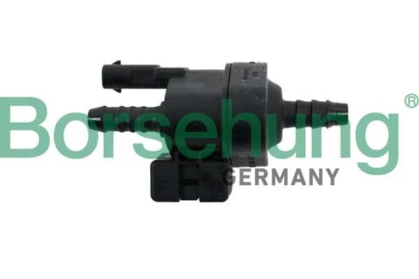клапан активатора угольного B12318 B12318 BORSEHUNG