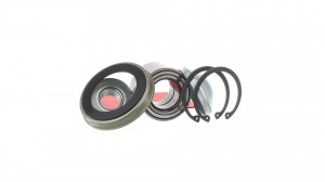 Подшипник ступицы FORD Focus,Fiesta,Fusion задней (АБС) (с кольцом) SKF VKBA3532 SKF
