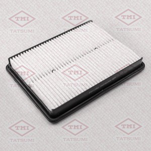 HYUNDAI SANTA FE (2012>) TBC1102 TATSUMI