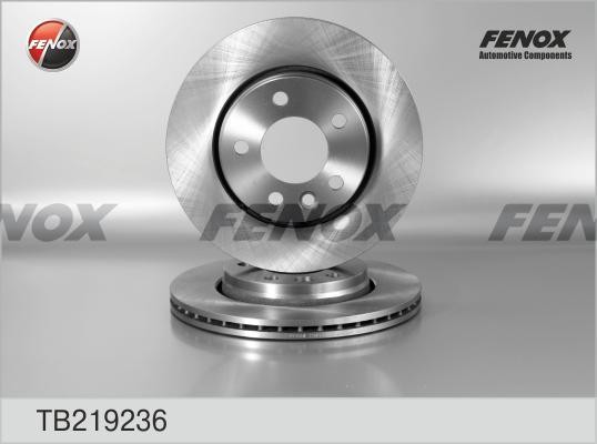 Диск тормозной VW Crafter 06-, Multivan 03-, Transporter 03-  2шт TB219236 FENOX