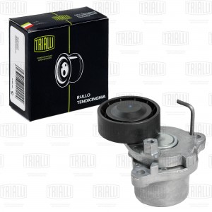 Ролик привод. ремня Kia Soul (08-)/Ceed (07-) 1.6d (выпуск с 2011) (с натяж. мех CM 5306 TRIALLI