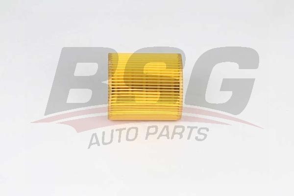 Фильтр масляный BMW 5 (F10,11),X1 (E84),Z4 (E89) BSG BSG15140006 BSG